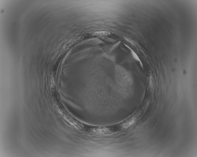 X0000053050517200508011851