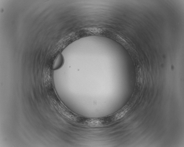 X0000053050518200508011851