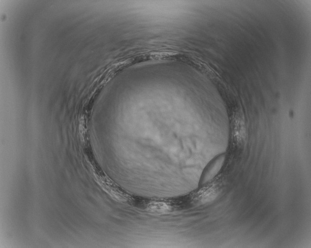 X0000053050519200508011851