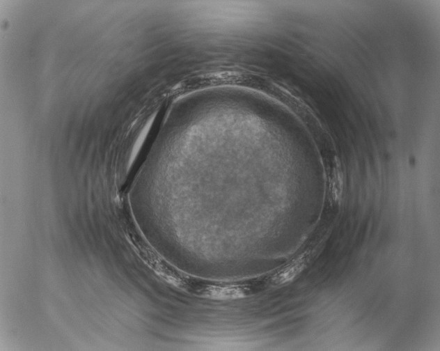 X0000053050520200508011851