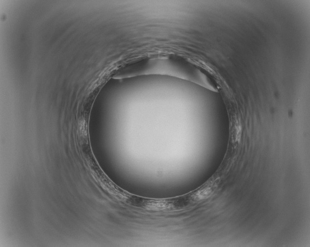 X0000053050521200508011851