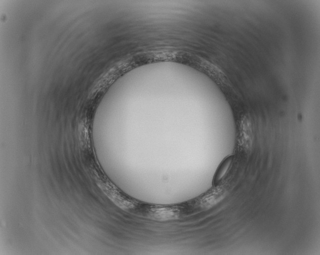 X0000053050522200508011851