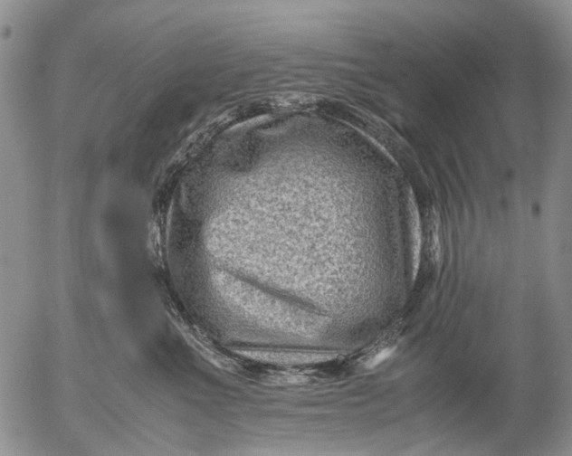 X0000053050523200508011851