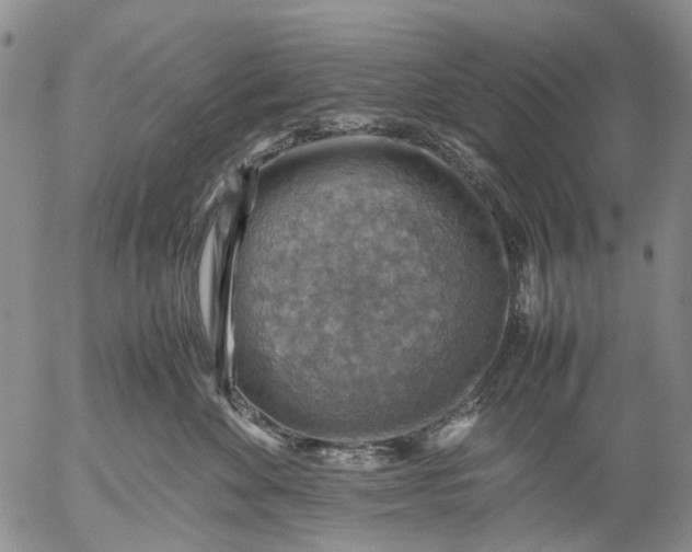 X0000053050524200508011851