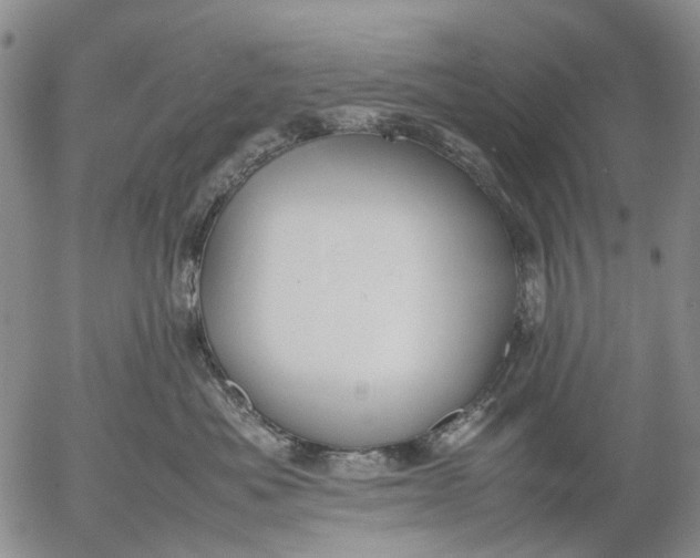 X0000053050525200508011851