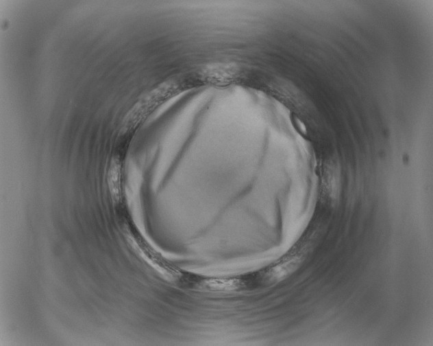 X0000053050526200508011851