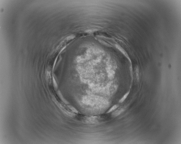 X0000053050527200508011851