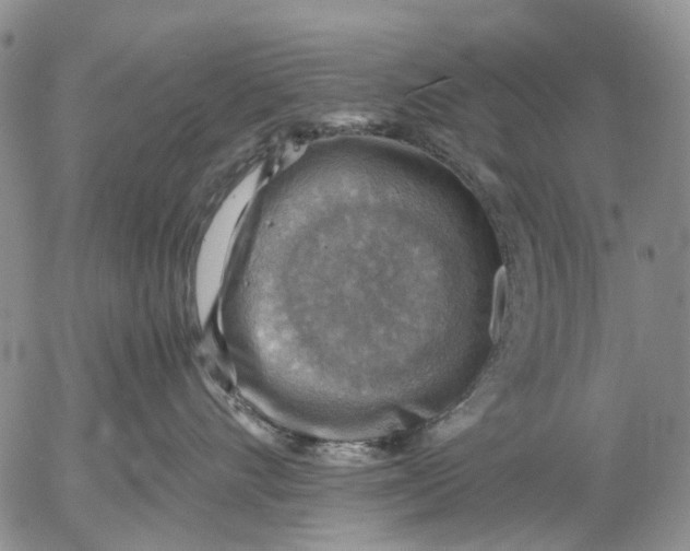 X0000053050528200508011851