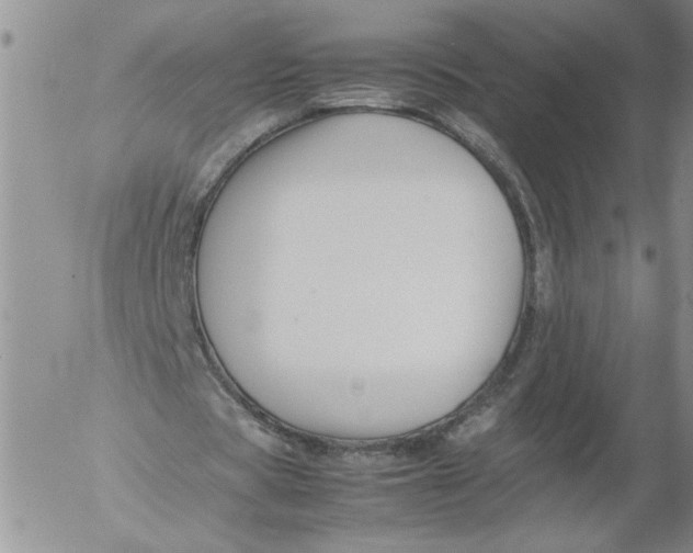 X0000053050529200508011850