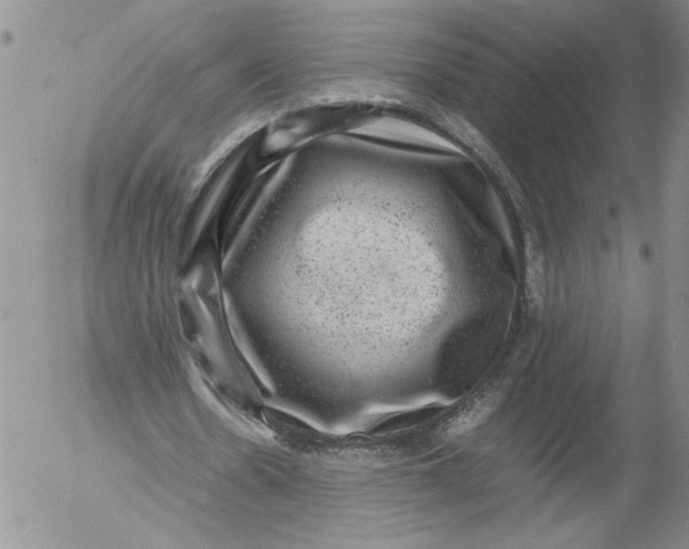 X0000053050530200508011850