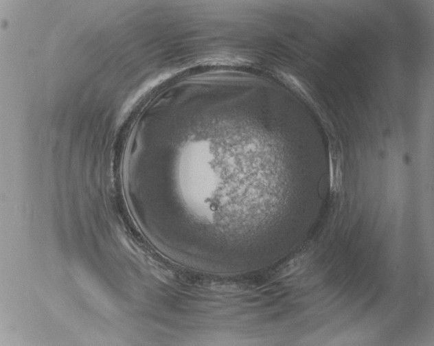 X0000053050531200508011850