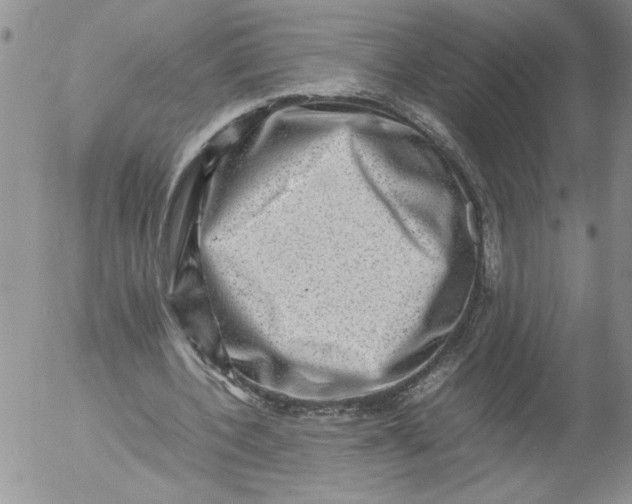 X0000053050532200508011850