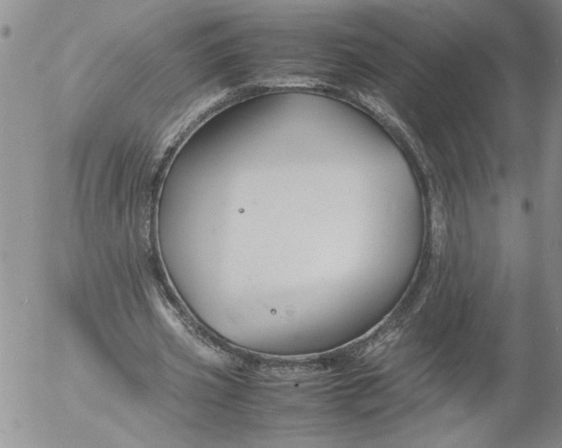 X0000053050533200508011850