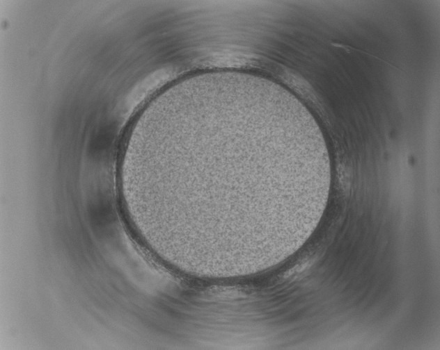 X0000053050534200508011850