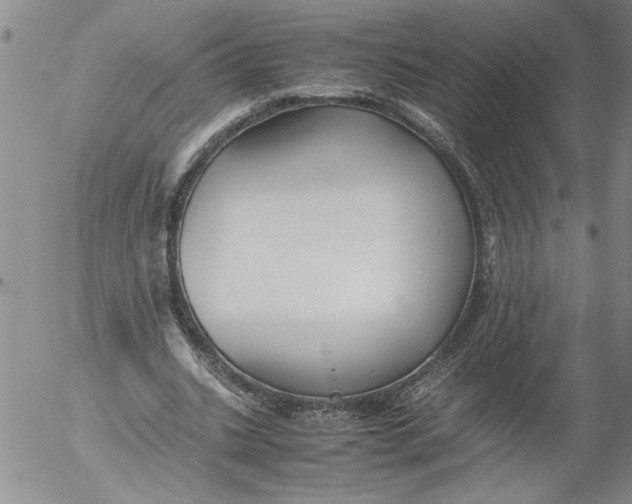 X0000053050535200508011850