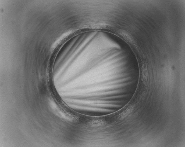 X0000053050536200508011850