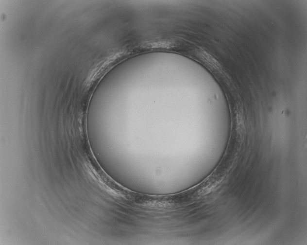 X0000053050537200508011850