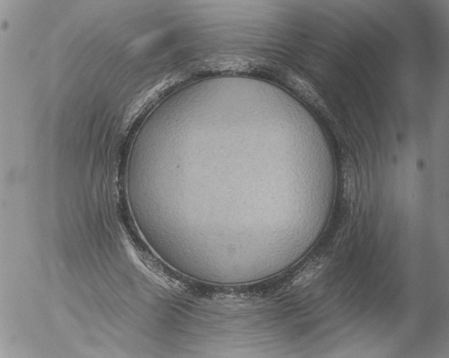 X0000053050538200508011850