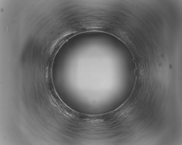 X0000053050539200508011850