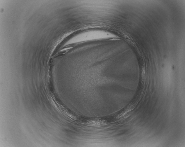 X0000053050540200508011850