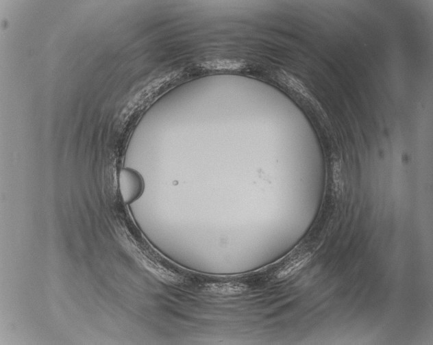 X0000053050541200508011850