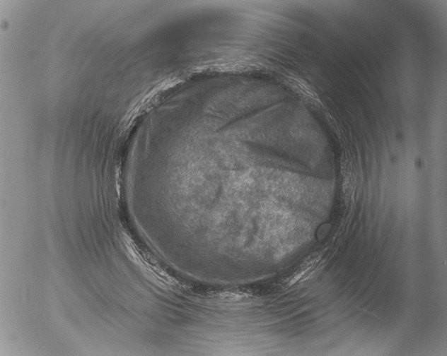 X0000053050542200508011850