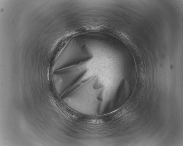 X0000053050543200508011850