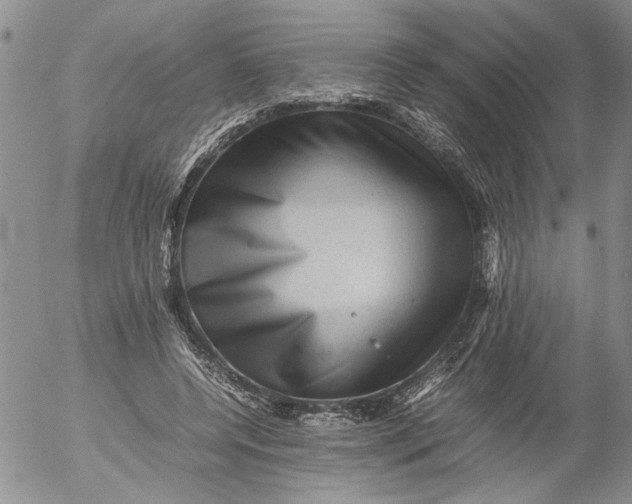 X0000053050544200508011850