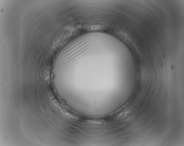 X0000053050545200508011850