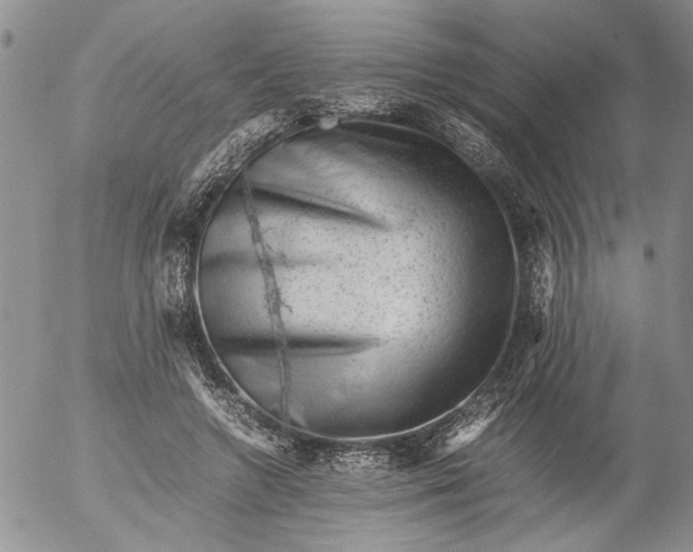 X0000053050546200508011850