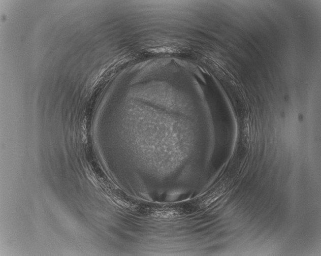 X0000053050547200508011850