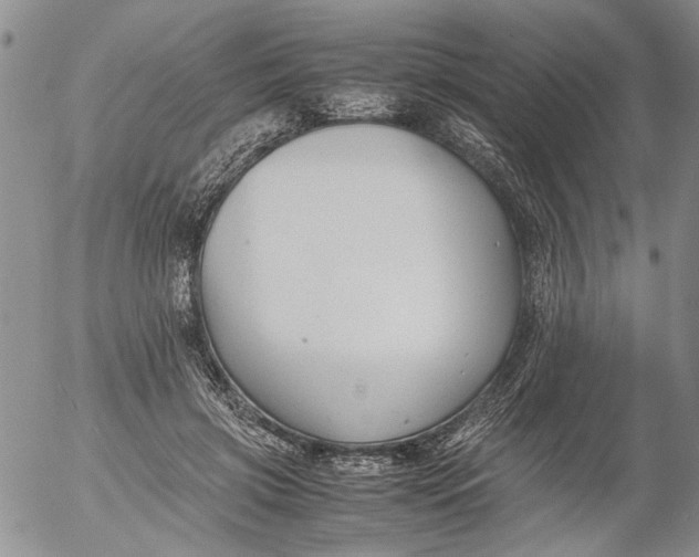 X0000053050549200508011850