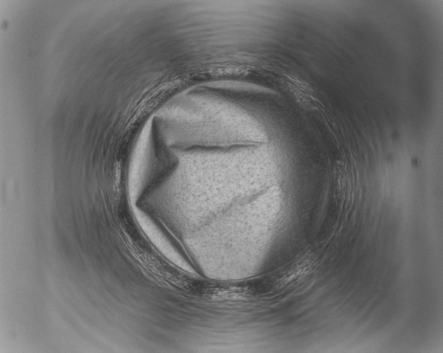 X0000053050550200508011850