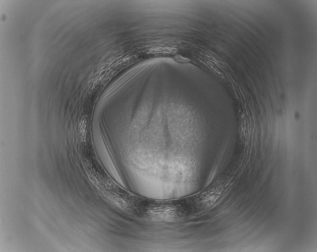 X0000053050551200508011850