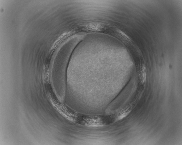 X0000053050552200508011850