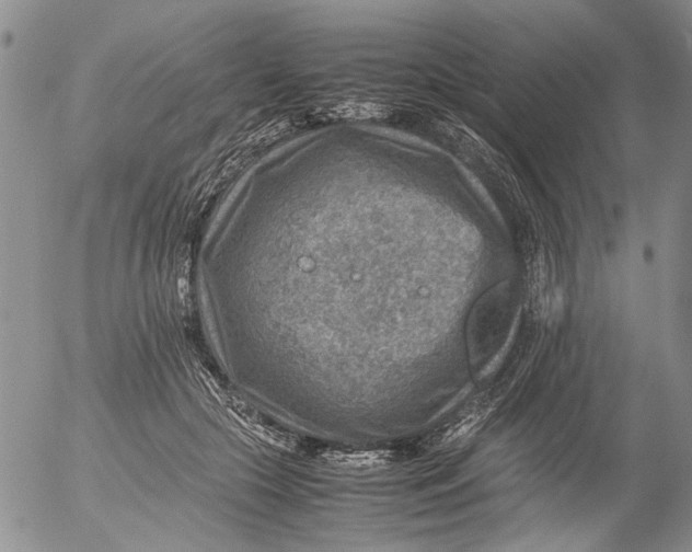 X0000053050553200508011850