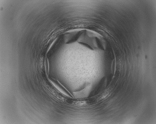 X0000053050554200508011850