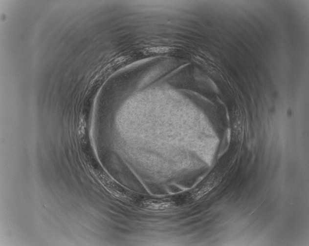 X0000053050555200508011850