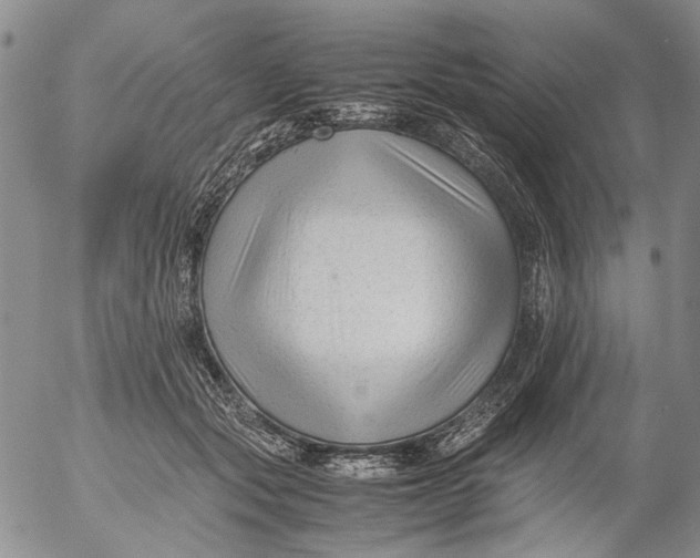 X0000053050557200508011851