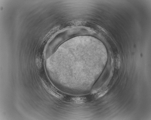 X0000053050558200508011851