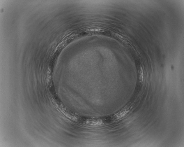 X0000053050559200508011851