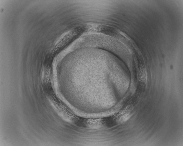 X0000053050560200508011851