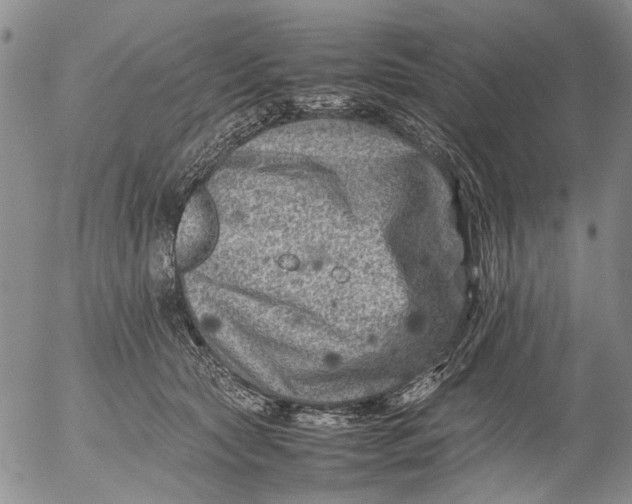 X0000053050561200508011851