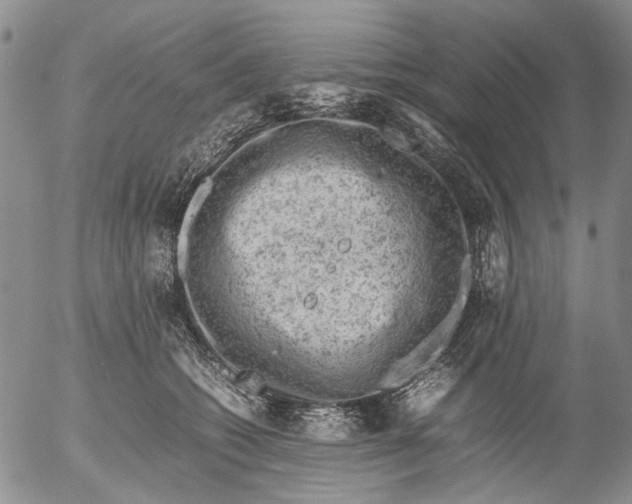 X0000053050562200508011851