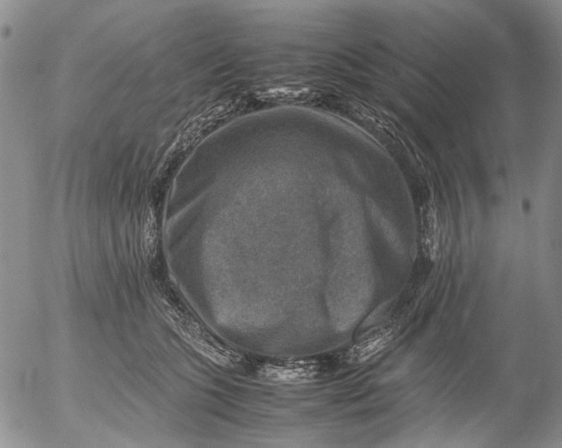 X0000053050563200508011851