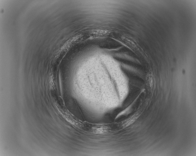 X0000053050564200508011851