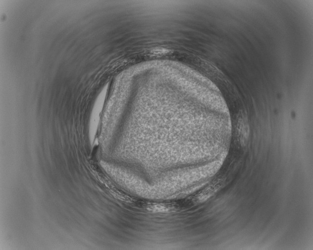 X0000053050565200508011851