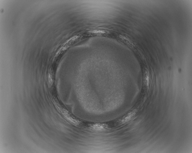 X0000053050566200508011851