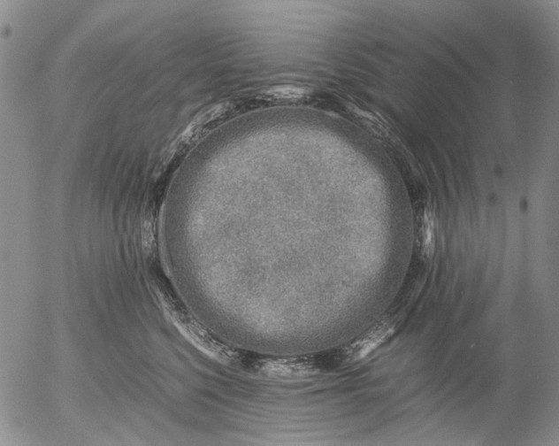 X0000053050568200508011851