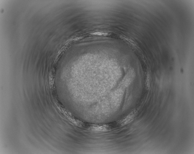 X0000053050569200508011851